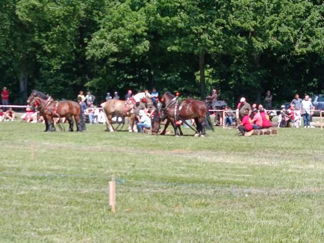 IMG_20260523_141304